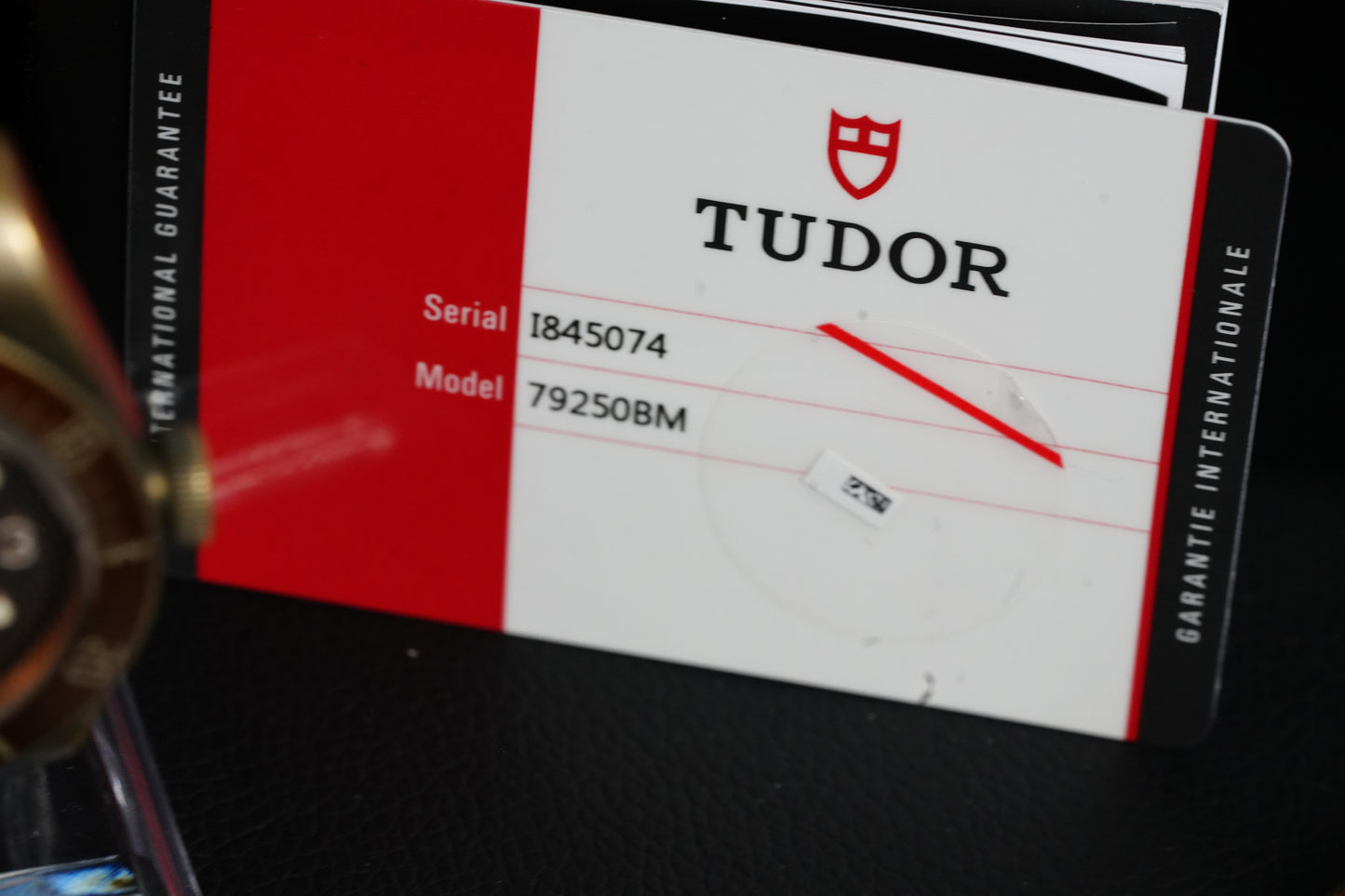 Tudor Black Bay Bronze 43MM Brown Dial Leather Strap (79250BM)
